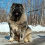 Миниатюра к 