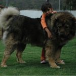 Миниатюра к 