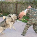 Миниатюра к 