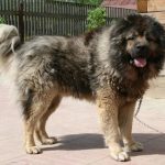 Миниатюра к 