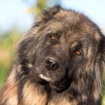 Миниатюра к 