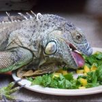 Миниатюра к