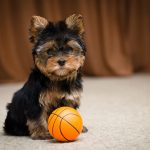 Миниатюра к 