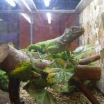 Миниатюра к