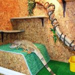 Миниатюра к