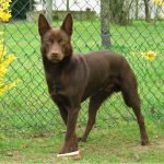 Миниатюра к 