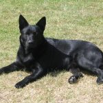 Миниатюра к 