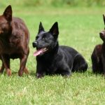 Миниатюра к 