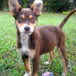 Миниатюра к 