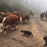 Миниатюра к 