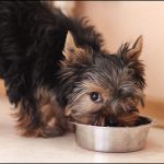 Миниатюра к 