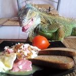 Миниатюра к