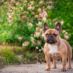 Миниатюра к