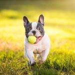 Миниатюра к