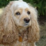 Миниатюра к 