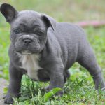 Миниатюра к