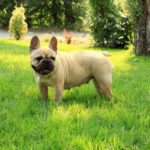 Миниатюра к