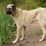 Миниатюра к 