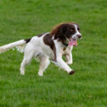 Миниатюра к 