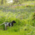 Миниатюра к 