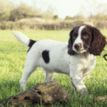 Миниатюра к 