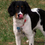 Миниатюра к 