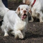 Миниатюра к