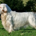 Миниатюра к