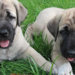 Миниатюра к 