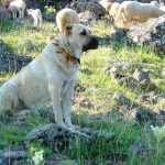 Миниатюра к 