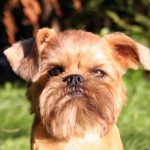 Миниатюра к 