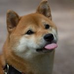 Миниатюра к 