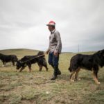 Миниатюра к