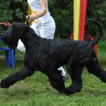 Миниатюра к 