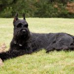 Миниатюра к 