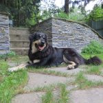 Миниатюра к