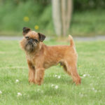 Миниатюра к 