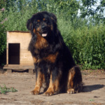 Миниатюра к