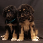 Миниатюра к