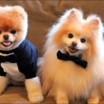 Миниатюра к