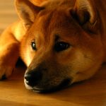 Миниатюра к 