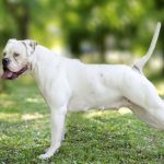 Миниатюра к