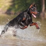 Миниатюра к 