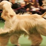 Миниатюра к 