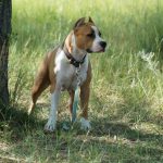 Миниатюра к 