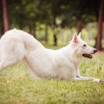 Миниатюра к 