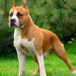 Миниатюра к 