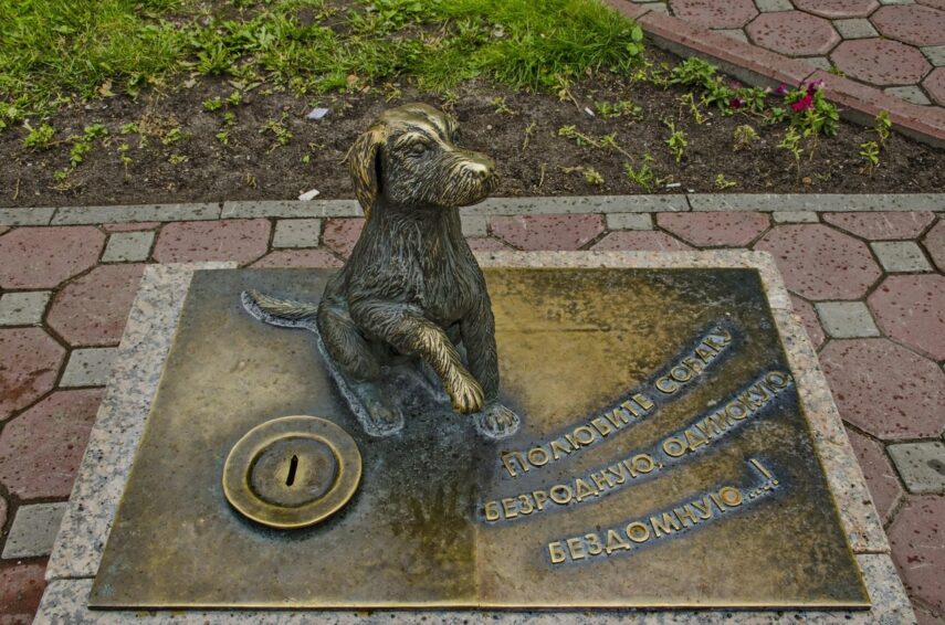 Памятник бродячей собаке Тюмень
