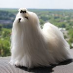 Миниатюра к 