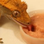 Миниатюра к